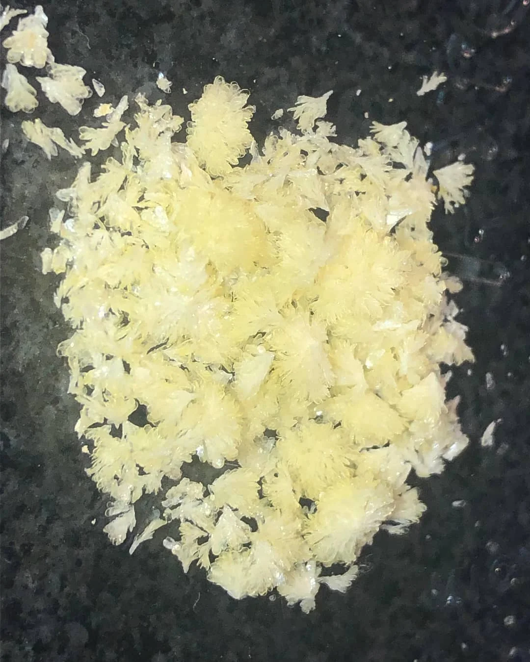 dmt crystals dmt crystals