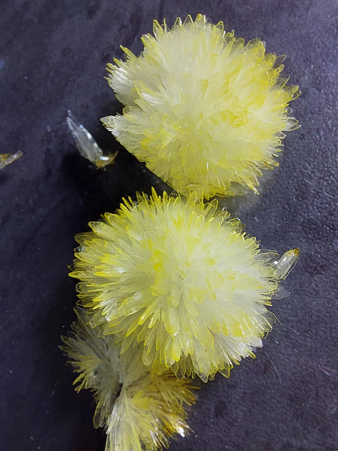 my-most-beautiful-crystals-yet-v0-fw6f9k83rudd1 dmt crystals