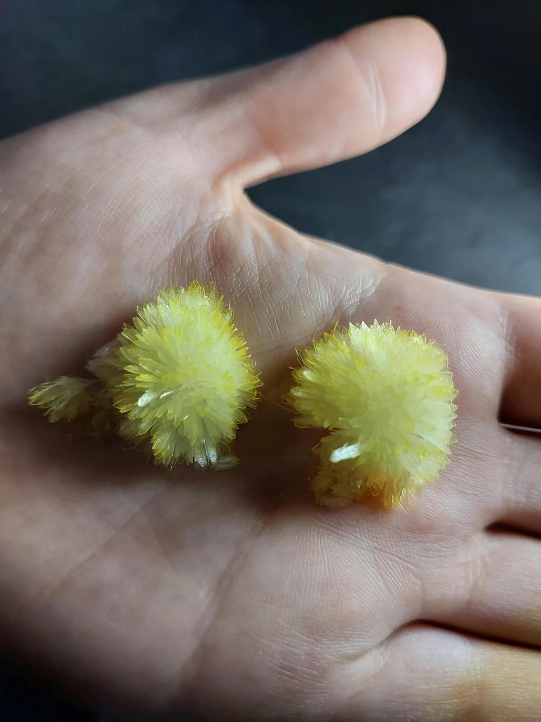 dmt crystals dmt crystals