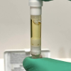 buy dmt carts