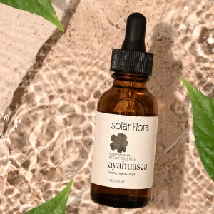 ayahuasca for sale​