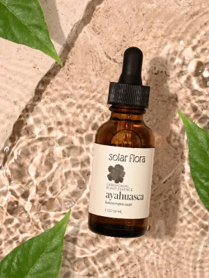 ayahuasca for sale​