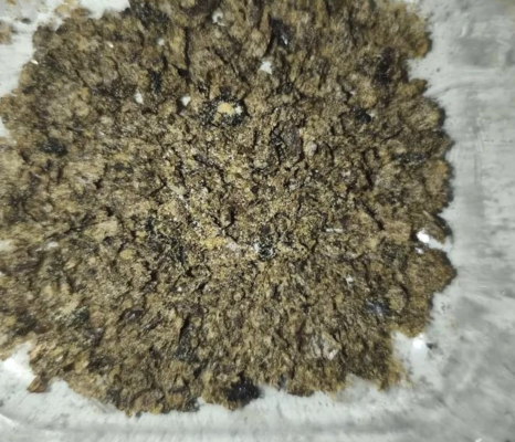 changa dmt